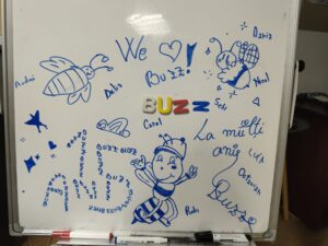 Școala de Jurnalism BUZZ